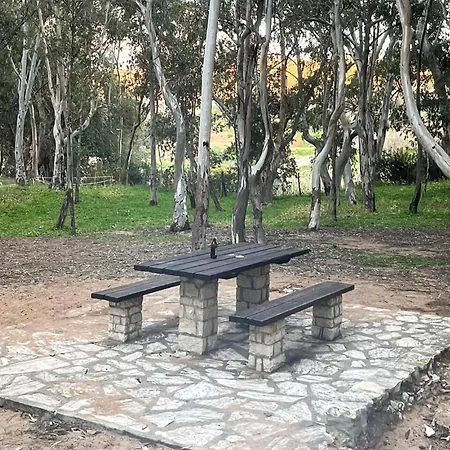 Stunning In باليستراتي